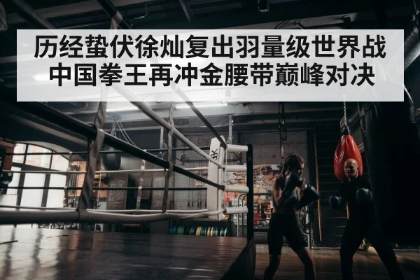 历经蛰伏徐灿复出羽量级世界战 中国拳王再冲金腰带巅峰对决