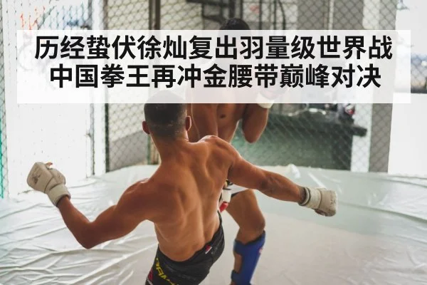 boxing fight
